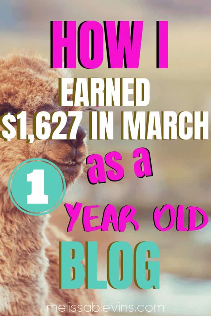 How I Earned $1,627 as a 1 Year Old Blog