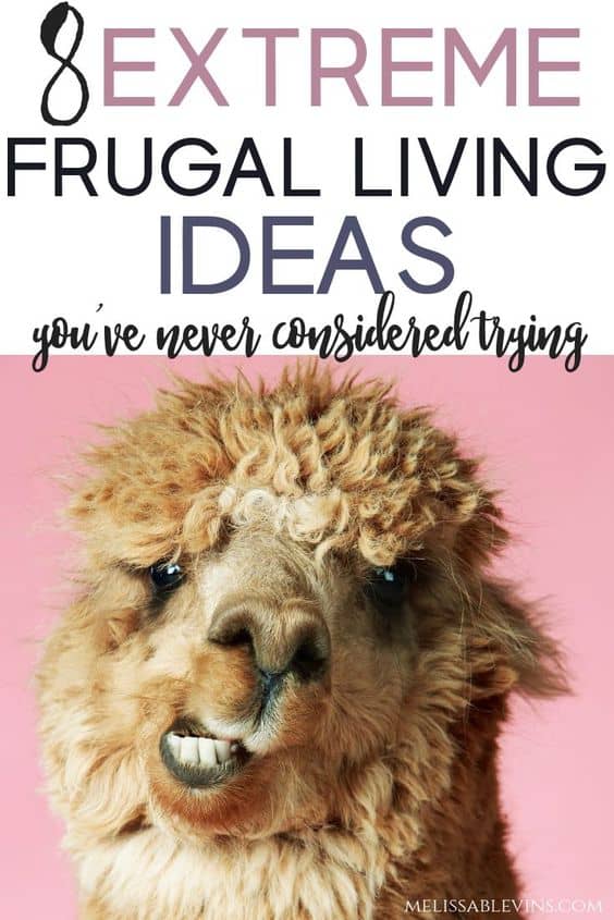 extreme frugal living ideas you've never considered