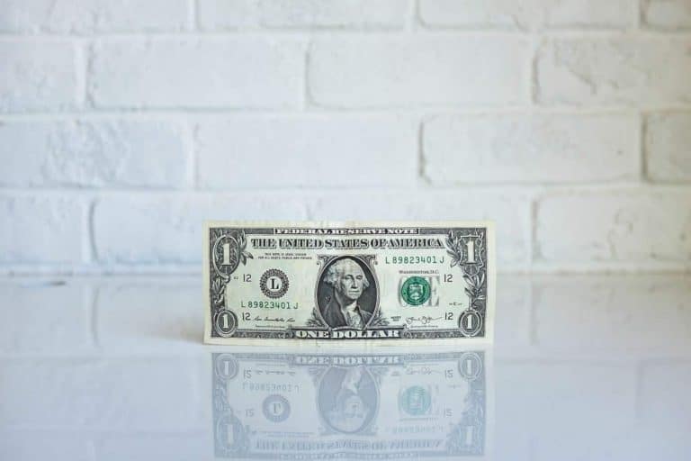 dollar by dollar debt reduction