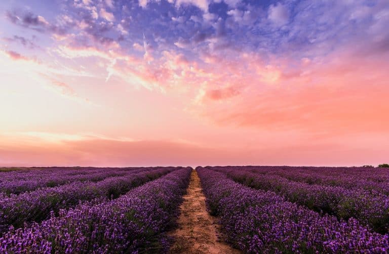 abundance mindset trick