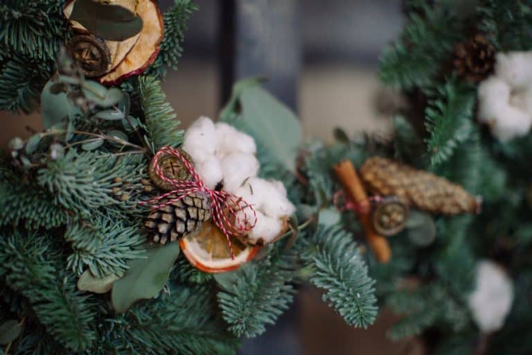 Christmas on a Budget