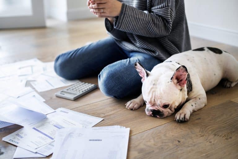 Perfection Hangover Personal Finance Blog for Millennial Women